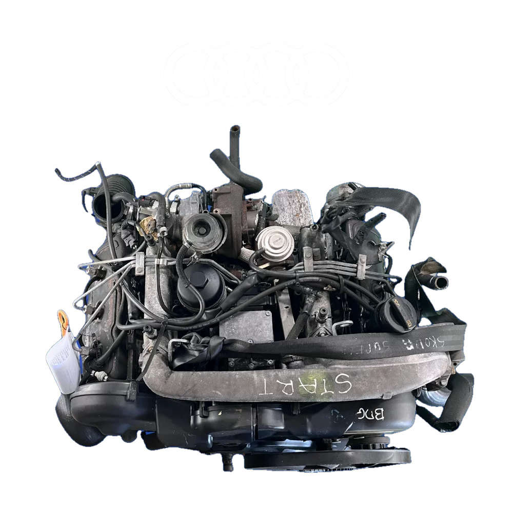 Audi 2.5 TDI BDG engine