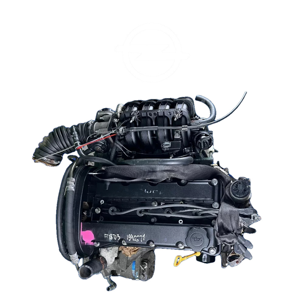 Opel 1.6 F16D3 Engine
