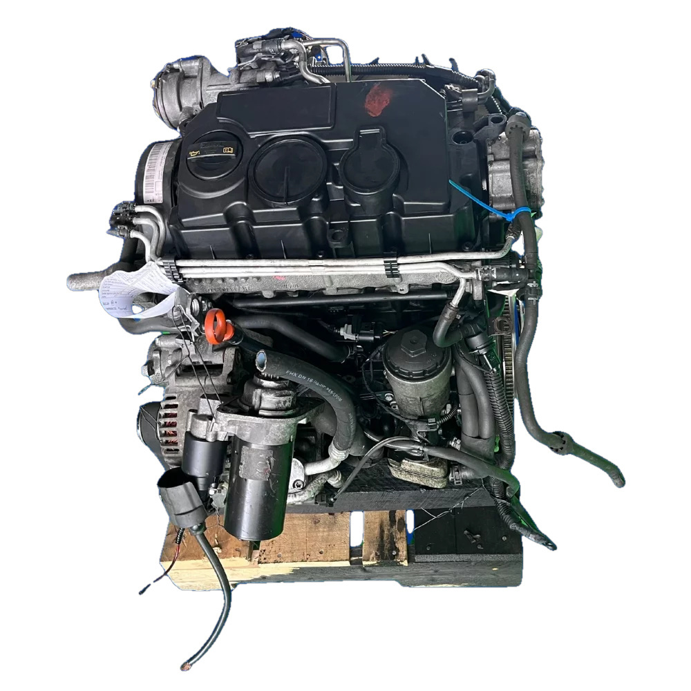 Volkswagen Golf 5 / Caddy 1.9 TDI BLS Engine — photo 4